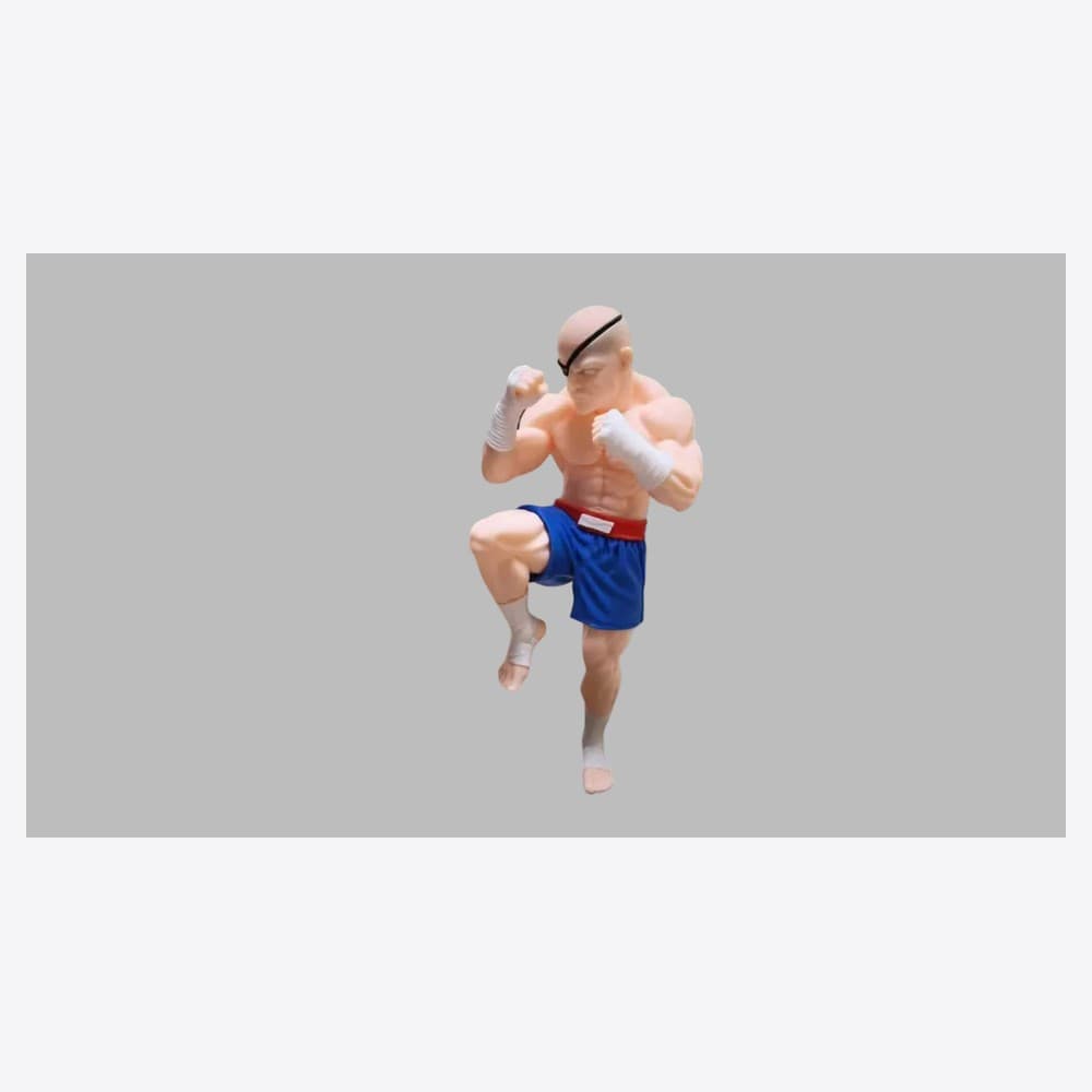 Chibi Sagat — vista lateral studio