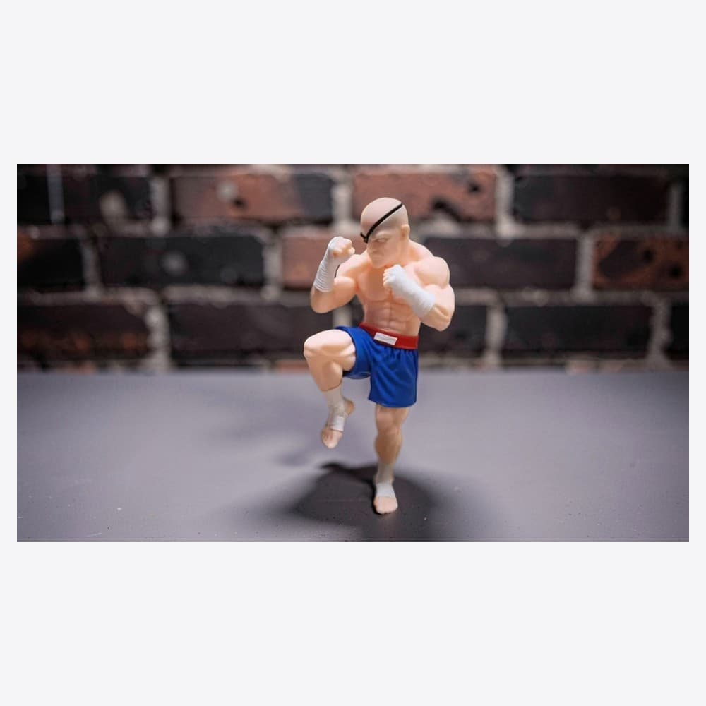 Chibi Sagat — foto ambiente