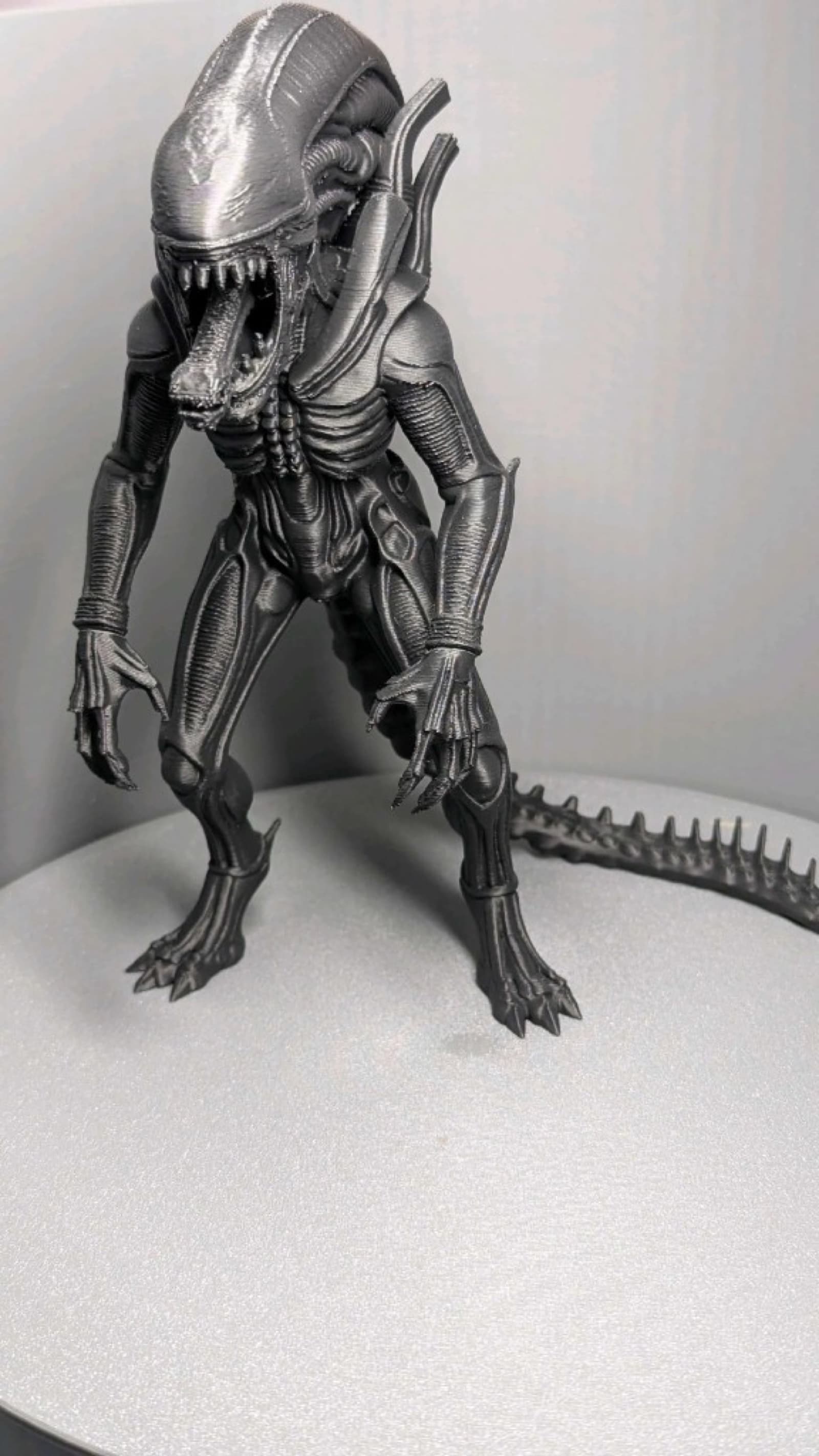 Alien (Xenomorph)
