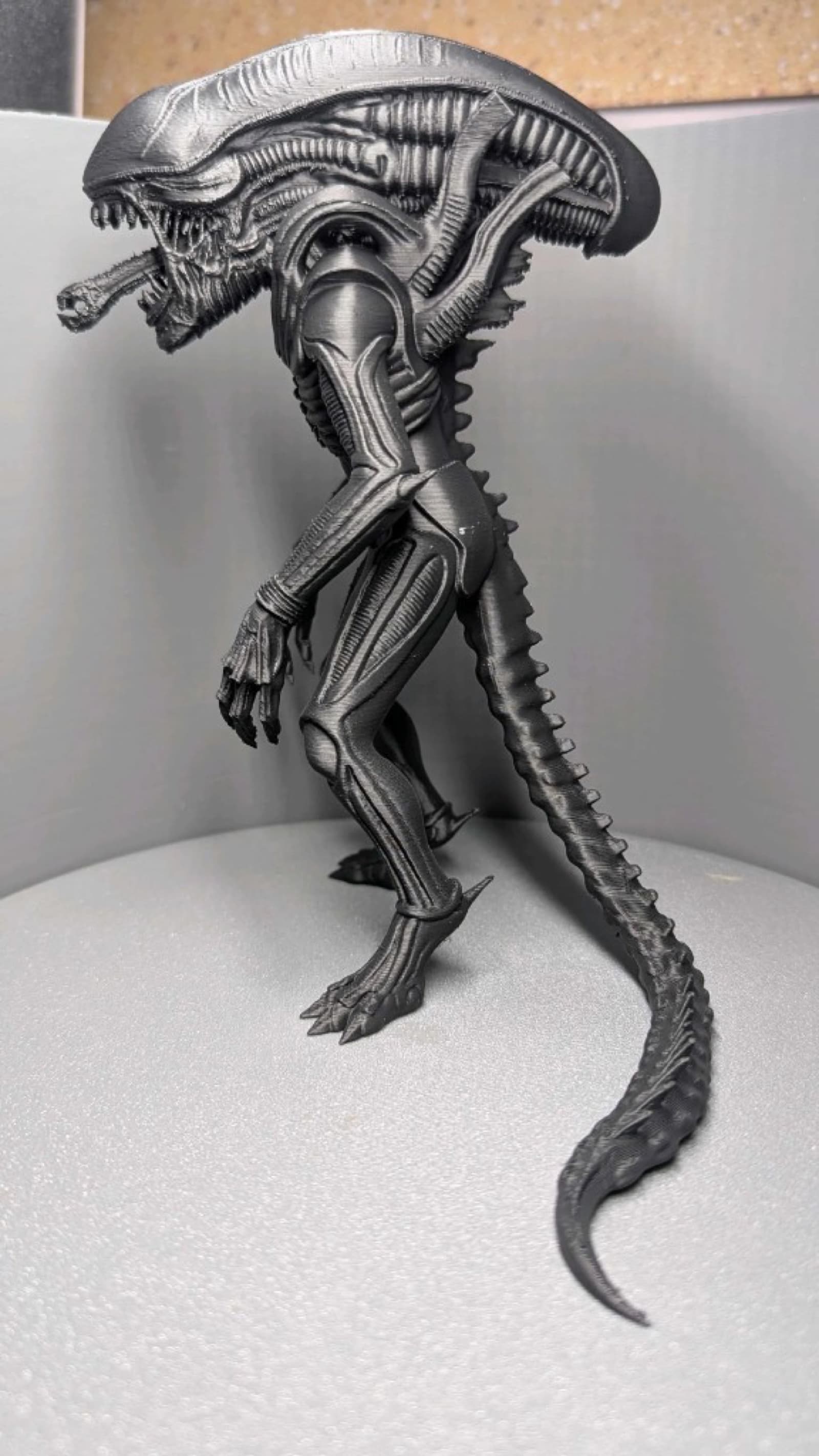 Alien Xenomorph — perfil